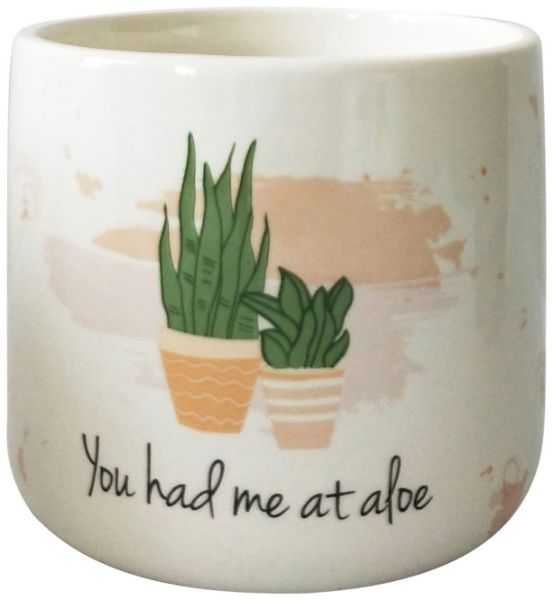 Picture of You had me at Aloe Planter White - Sm 11cm