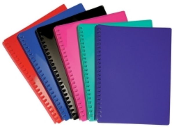 Picture of Display Book A4 20 Pockets Refillable Gloss Red