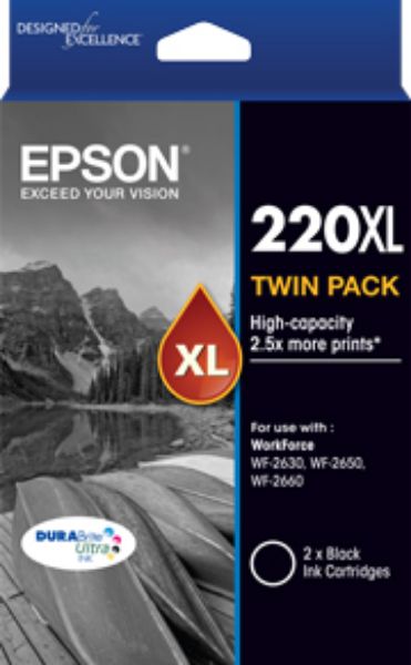 Picture of Epson 220 High Yield Black Twin Pack