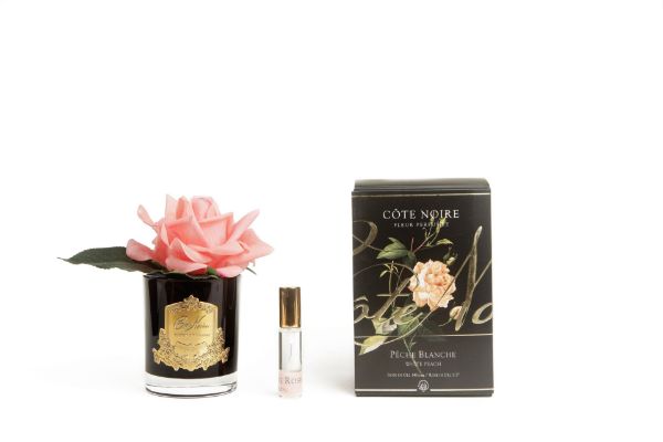 Picture of Cote Noire Single French Rose White Peach Black Glass with Gold Crest